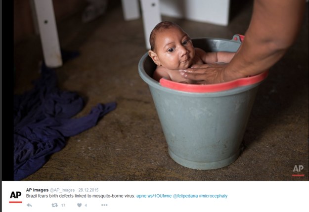 Wirus Zika być może groźniejszy niż sądzono, fot. Twiiter /