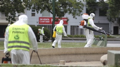 Wirus Zika: KE zaleca ostrzeganie podróżnych. "Nie należy siać paniki - trzeba informować o ryzyku"
