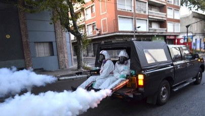 Wirus ZIKA w USA: 9 kobiet w ciąży zostało zarażonych 