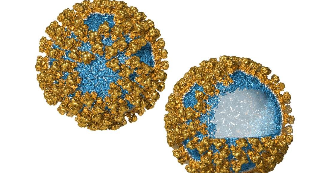 Wirusopodobne nanocząstki stworzone przez dr Franka Sainsbury'ego /materiały prasowe
