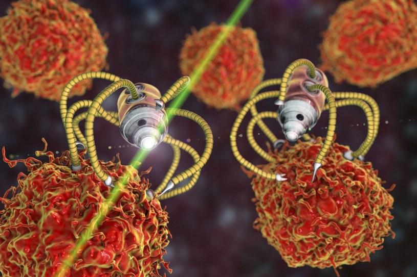 Wirusy mogą działać jak mikroskopijne roboty naprawiające nasze komórki /KATERYNA KON/Science Photo Library RF /East News