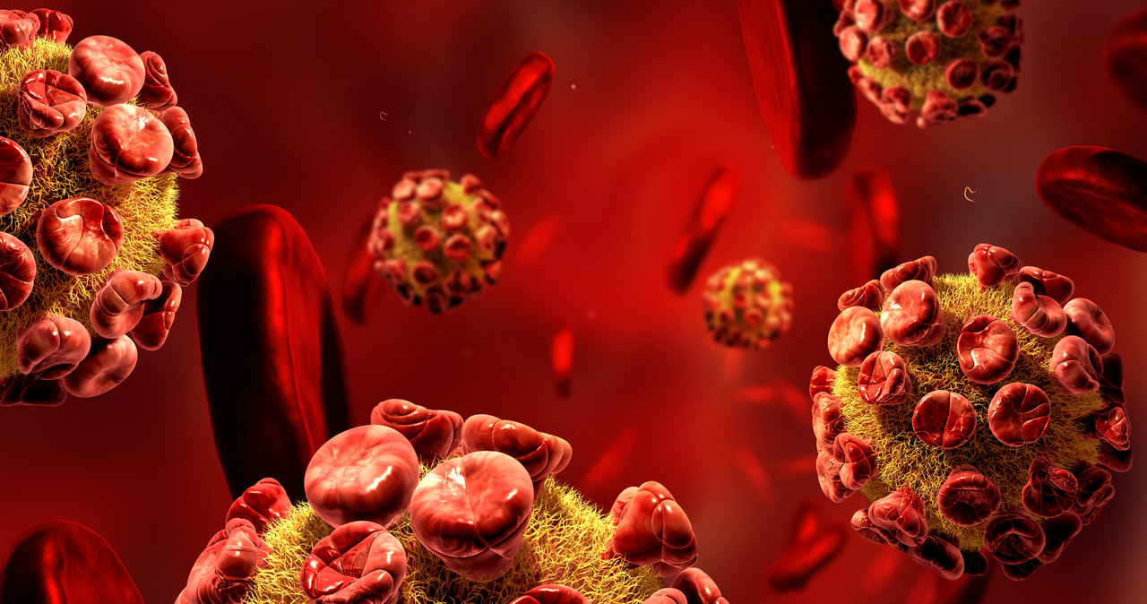 Wirusy mogą produkować nietypowe białka w naszym organizmie /123RF/PICSEL
