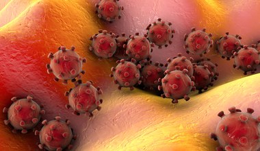 Wirusy w magnetycznych zbrojach skutecznie walczą z rakiem