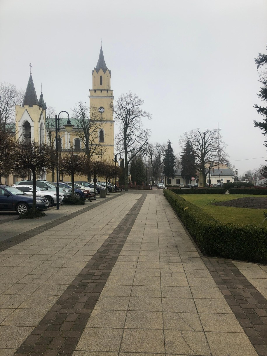 Wiskitki /Michał Dobrołowicz /RMF FM