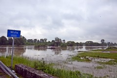 Wisła w Bieruniu poza korytem