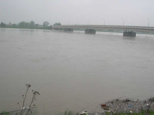 Wisła w Niepołomicach - zdjęcie nadesłane na Gorącą Linię RMF FM &nbsp; /Barbara /Gorąca Linia RMF FM