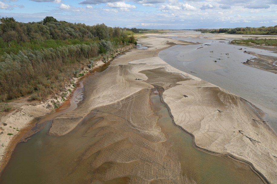 Wisła w Warszawie - widok z mostu południowego /Paweł Supernak /PAP