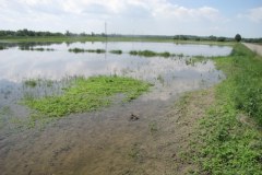 Wisła zalewa Ostrów i okolice