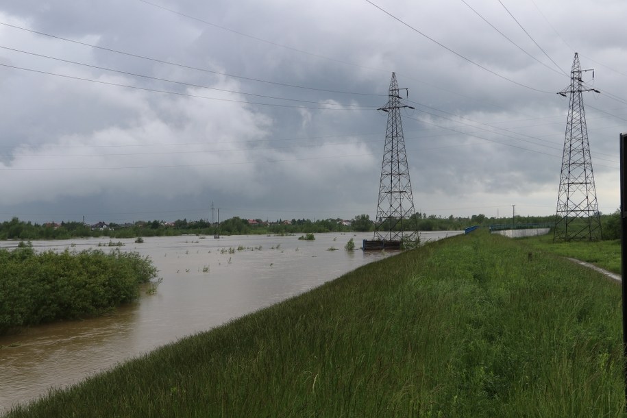 Wisłoka /Jacek Skóra /RMF FM