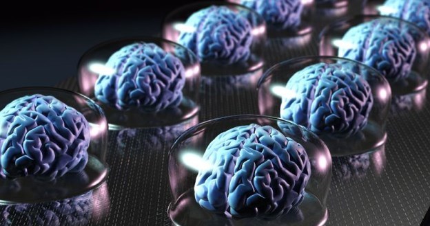 Witryfikacja samych mózgów jest prostsza i tańsza niż całych ciał. Oto przyszłość? /123RF/PICSEL