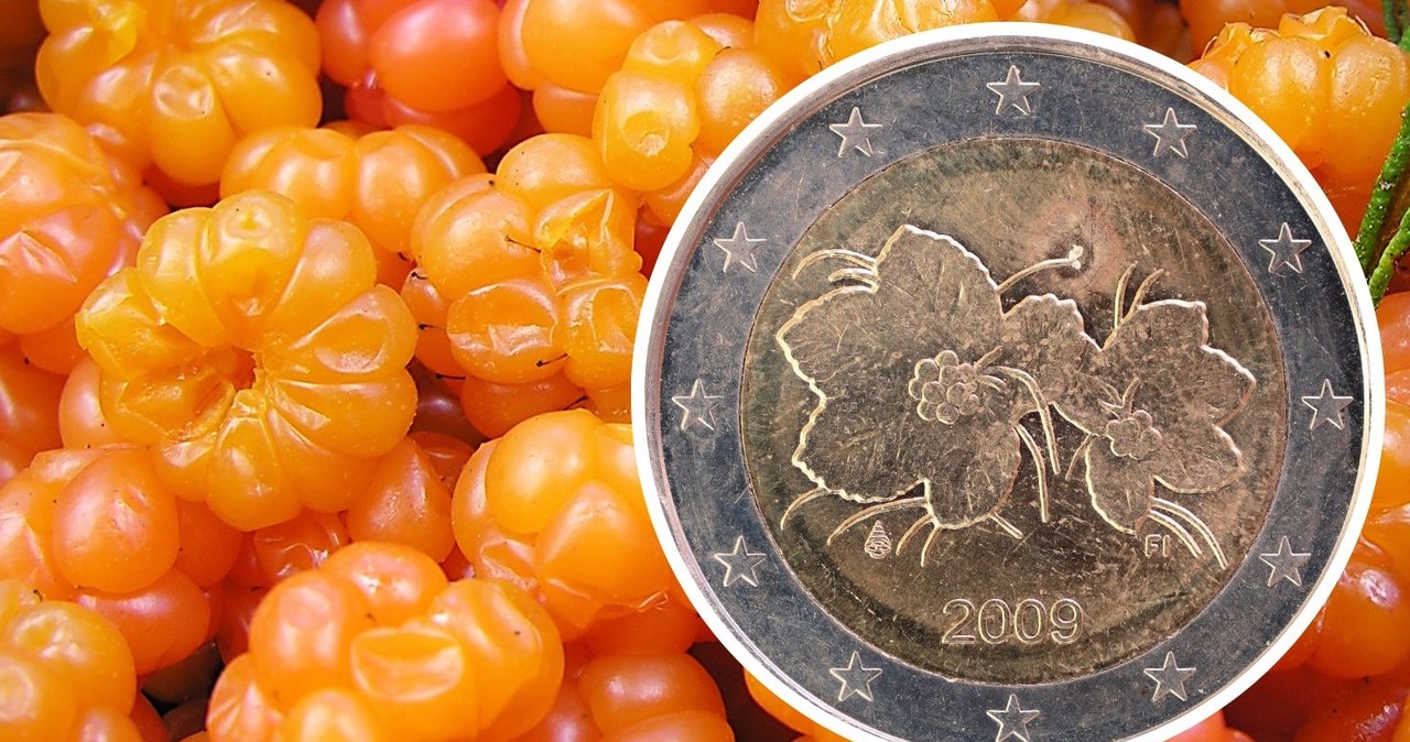 Wizerunek maliny moroszki uwieczniono na fińskiej monecie o wartości 2 euro | Fot. Canva Pro /123RF/PICSEL