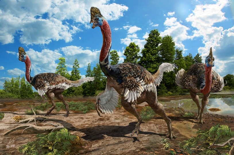 Wizja artystyczna Corythoraptor jacobsi /materiały prasowe