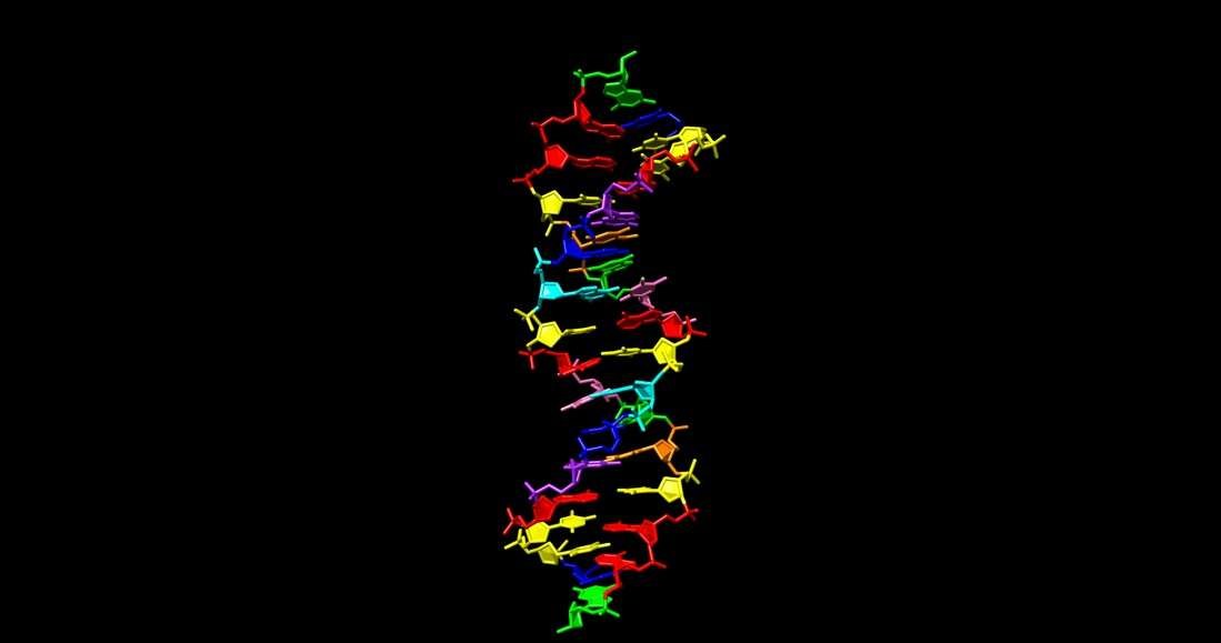 Wizja artystyczna hachimoji DNA /materiały prasowe