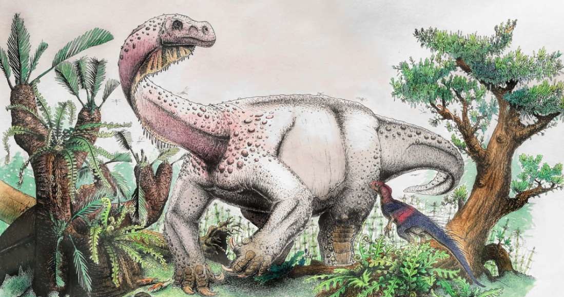 Wizja artystyczna nowo odkrytego gatunku dinozaura /materiały prasowe