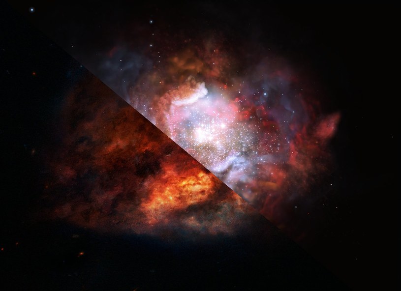 Wizja artystyczna pokazująca jak pył galaktyczny formuje gwiazdy w odległym wszechświecie /materiały prasowe