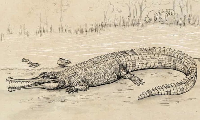 Wizualizacja prehistorycznego "szefa rzeki". /Eleanor Pease/Univeristy of Queensland /materiały prasowe