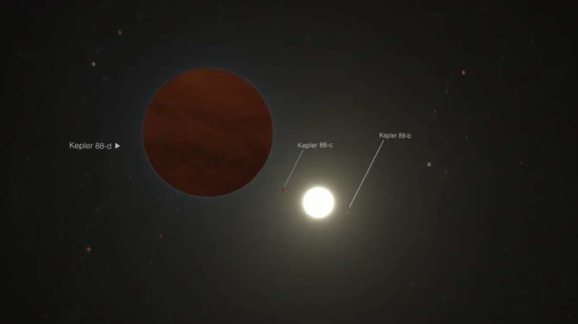 Wizualizacja układu Kepler-88 /materiały prasowe