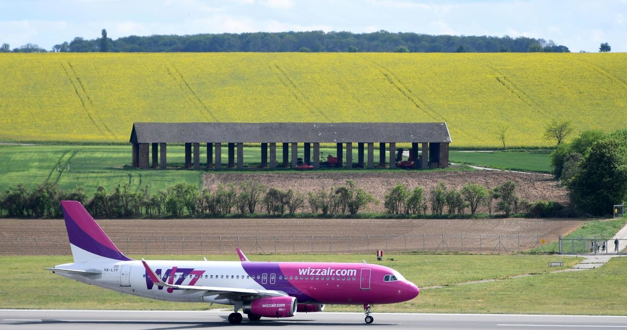 Wizz Air na lotnisku Schwechat/Wiedeń /AFP