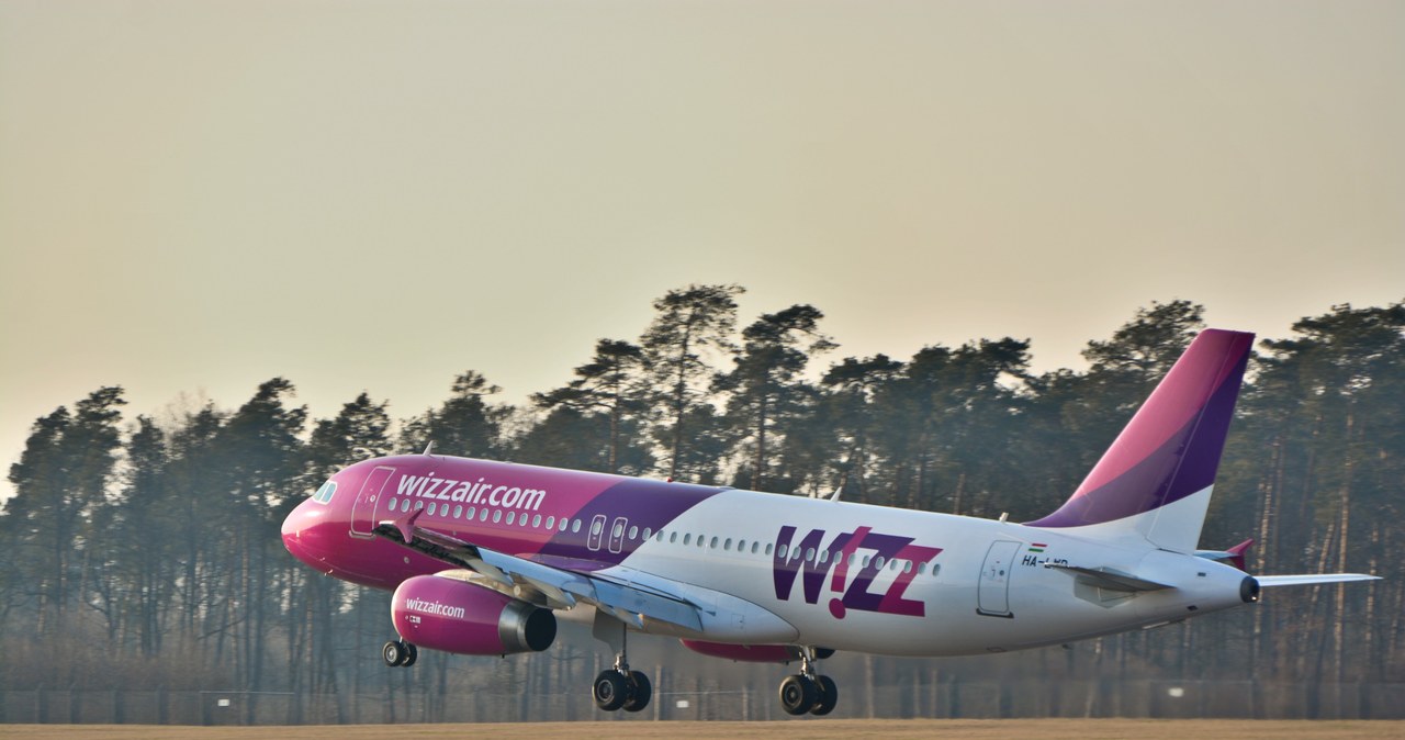 Wizz Air odwołuje część lotów. Przyczyną kontrole silników w samolotach /123RF/PICSEL