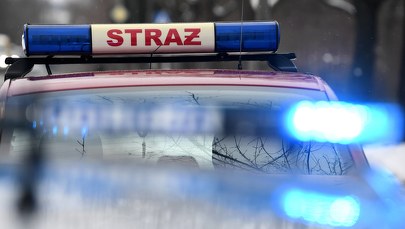 Wjechał autem w drzewo. Kierowca spłonął w aucie