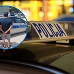 Wjechał rowerem na autostradę i został deportowany. Szybka akcja policji