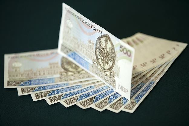 Wkrótce do obiegu trafi banknot o nominale 500 złotych /NBP