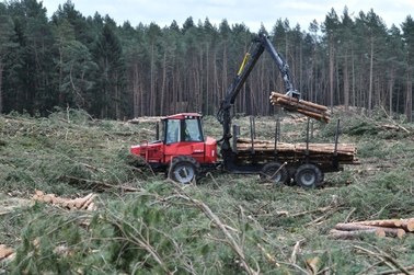 Wkrótce podpisana ma zostać umowa z wykonawcą przekopu przez Mierzeję Wiślaną