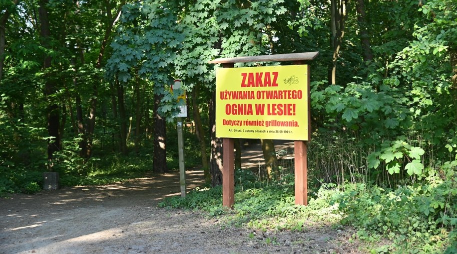 Lasy zostaną zamknięte na majówkę? "Może być taka sytuacja"
