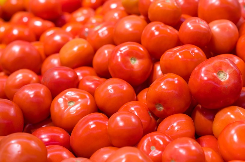 Włącz pomidory do swojej diety, a nie pożałujesz /123RF/PICSEL