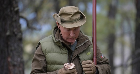 Władimir Putin na grzybach