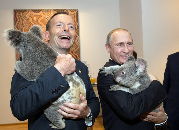 Władimir Putin z misiem koala /AFP