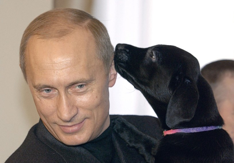 Władimir Putin z psem Konni /VLADIMIR RODIONOV/RIA NOVOSTI /East News