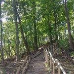 ​Władze Gdańska chcą odtworzyć park leśny na Aniołkach
