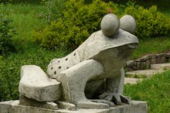 Władze Olsztyna nie chcą zielonej żaby