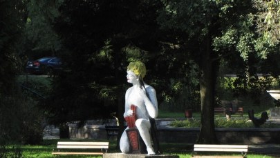 Władze Olsztyna nie chcą zielonej żaby