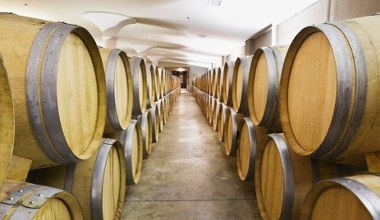 Właściciel Dino przejmie znaną fabrykę? Wkrótce zapadnie decyzja 