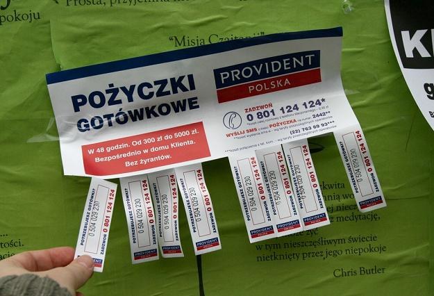 Właściciel Providenta Polska idzie na GPW. Fot. Adam Tuchliński /Reporter