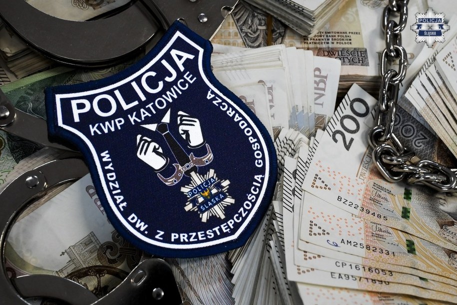 Właściciele internetowego kantoru oszukali ludzi na prawie 6 mln złotych /Śląska policja /