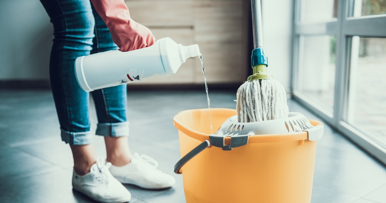 Właściciele milionów mieszkań i domów w Niemczech zatrudniają do sprzątania osoby bez ubezpieczenia społecznego (zdj. ilustracyjne) /123RF/PICSEL