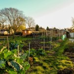 ogródki Właściciele ogródków muszą uważać. Po zmianie przepisów kary są ogromne