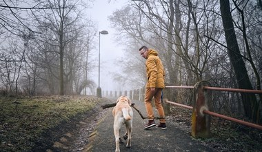 Właściciele psów robią jeden błąd, grzywna to aż 1000 zł. Najgorzej, jeśli masz psa tej rasy