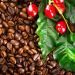Właściwości i zastosowania kofeiny