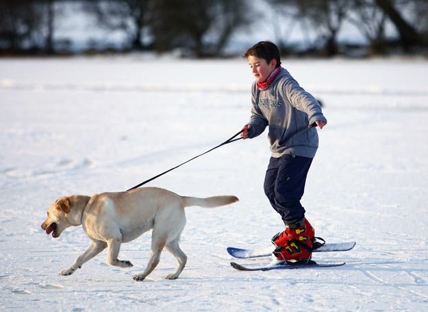 Właściwy pies i właściwe dziecko - duet idealny... /Getty Images/Flash Press Media