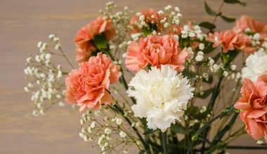 Wlewam to do wazonu zawsze, gdy dostanę bukiet. Kwiaty stoją w nim nawet przez 3 tygodnie 