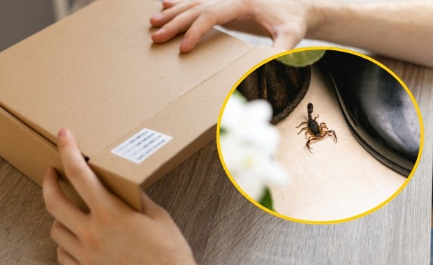 Włoch zamówił paczkę z Chin i dobrze, że nie otworzył jej z drugiej strony