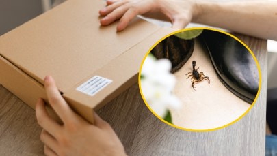 Włoch zamówił paczkę z Chin i dobrze, że nie otworzył jej z drugiej strony
