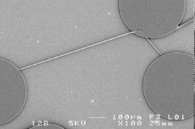 Włókna jedwabiu zintegrowane w fotonicznym mikrochipie /materiały prasowe