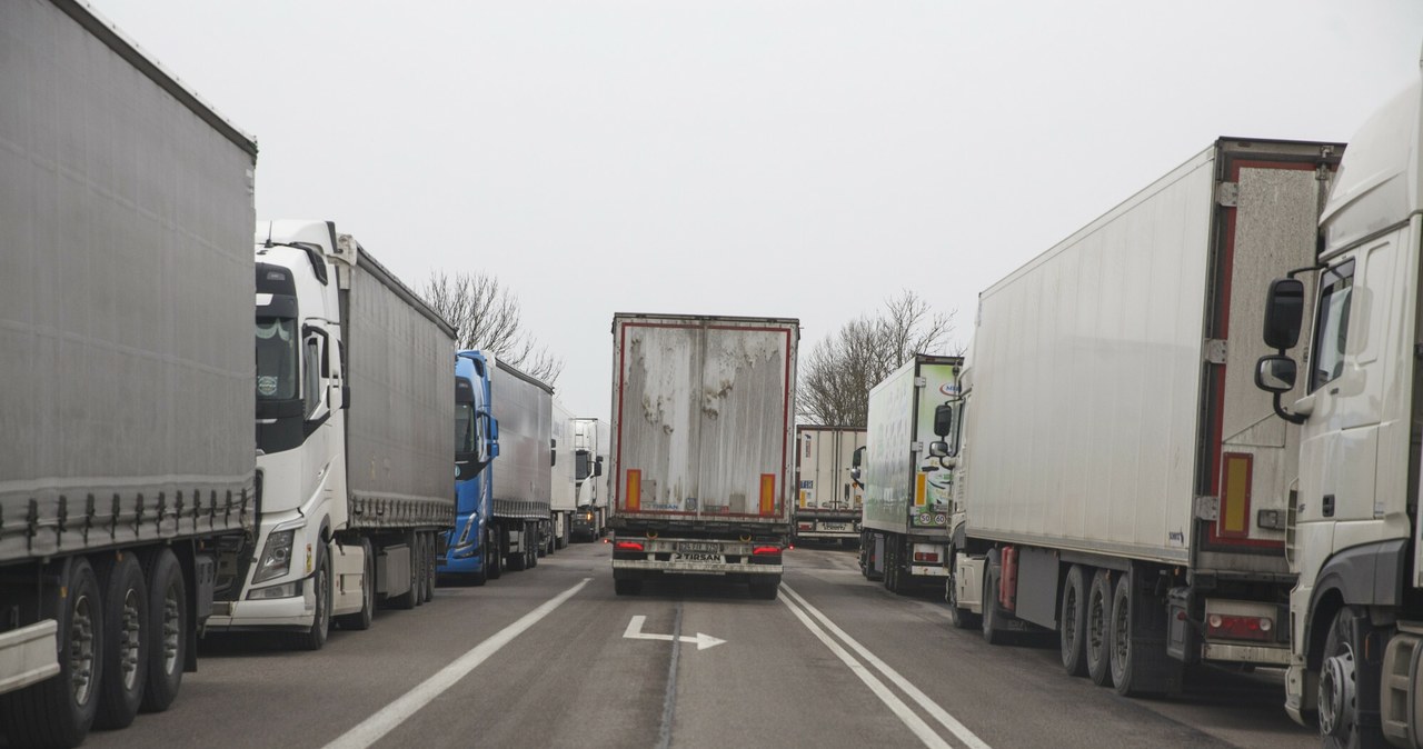 Włosi chcą uratować ciężarówki na olej napędowy. Wzorem rolników - grożą paraliżem europejskich dróg /fot Marek Maliszewski /Reporter