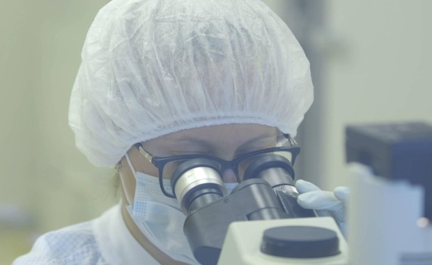 Włosi donoszą, że odkryli własną mutację koronawirusa. Jest "bardzo podobna do osławionej angielskiej"