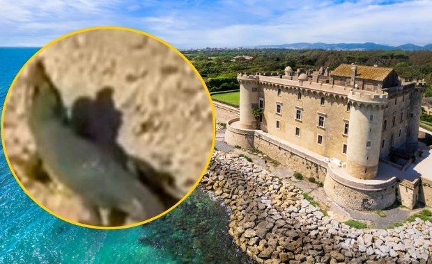 Włosi dronami szukali gada, którego bali się mieszkańcy. Zaskakujący finał